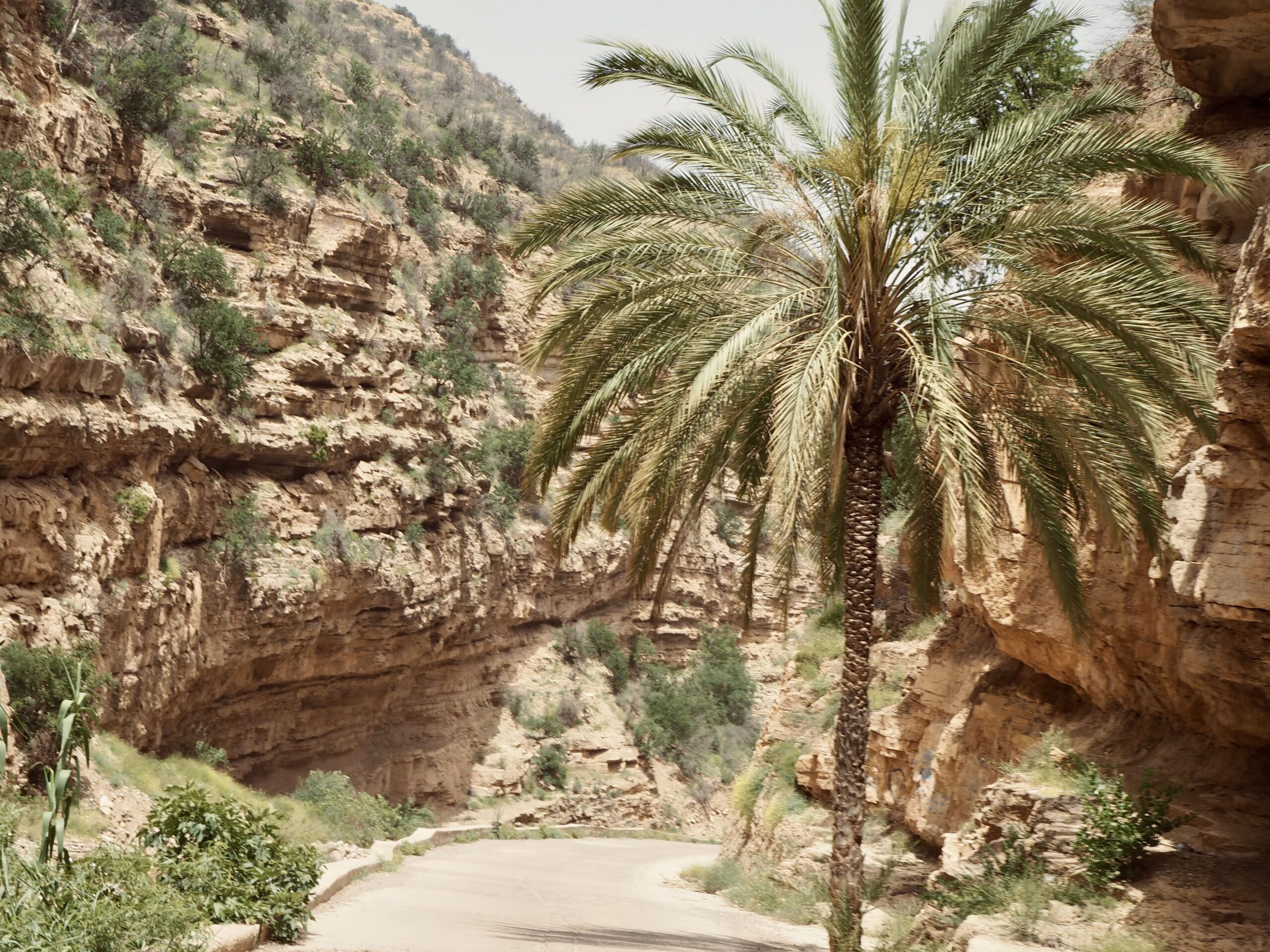 Roadtrip moto maroc
